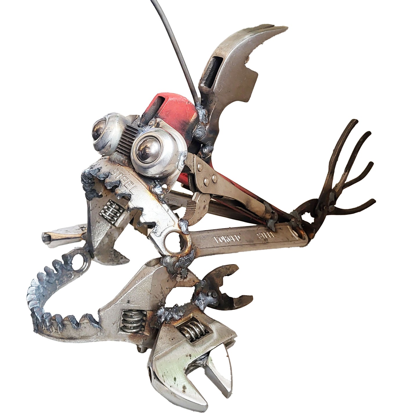 Hammer-Head Angler Fish