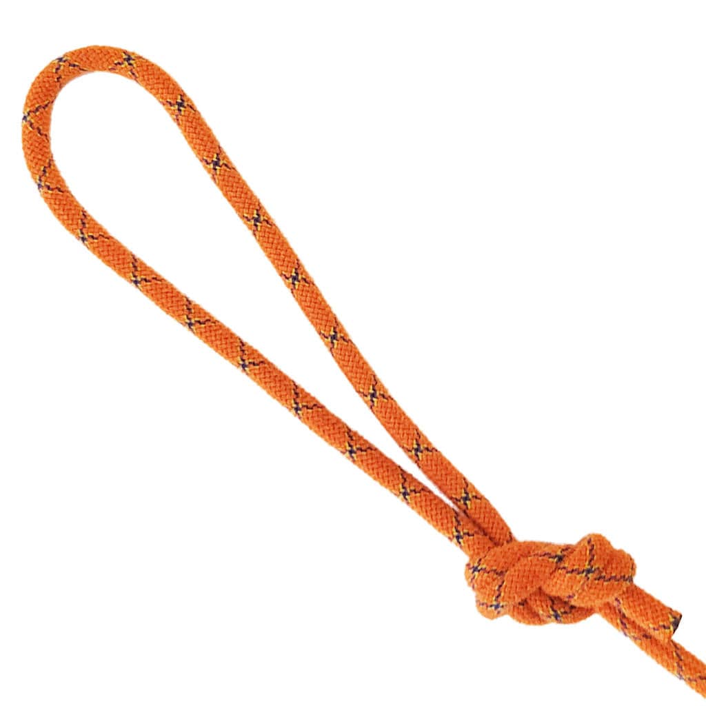 Climbing Rope Dog Leash