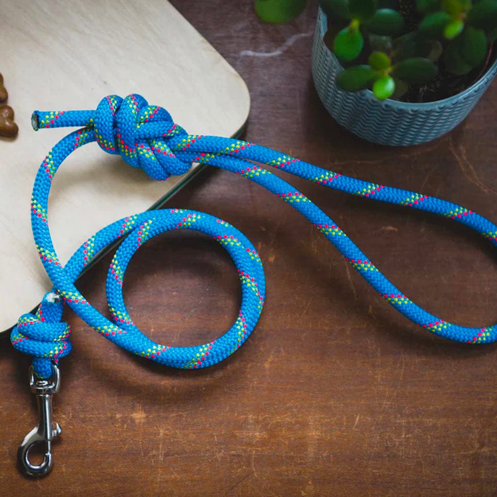 Climbing Rope Dog Leash