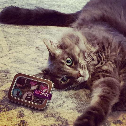 Bottle Cap Magnets - Cat Lover