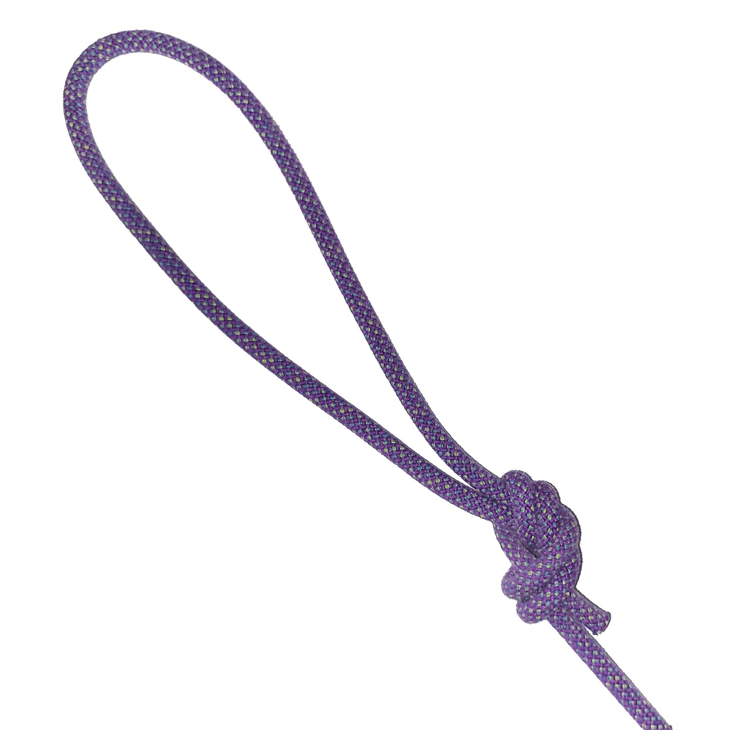 Climbing Rope Dog Leash