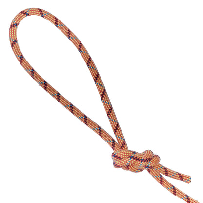 Climbing Rope Dog Leash