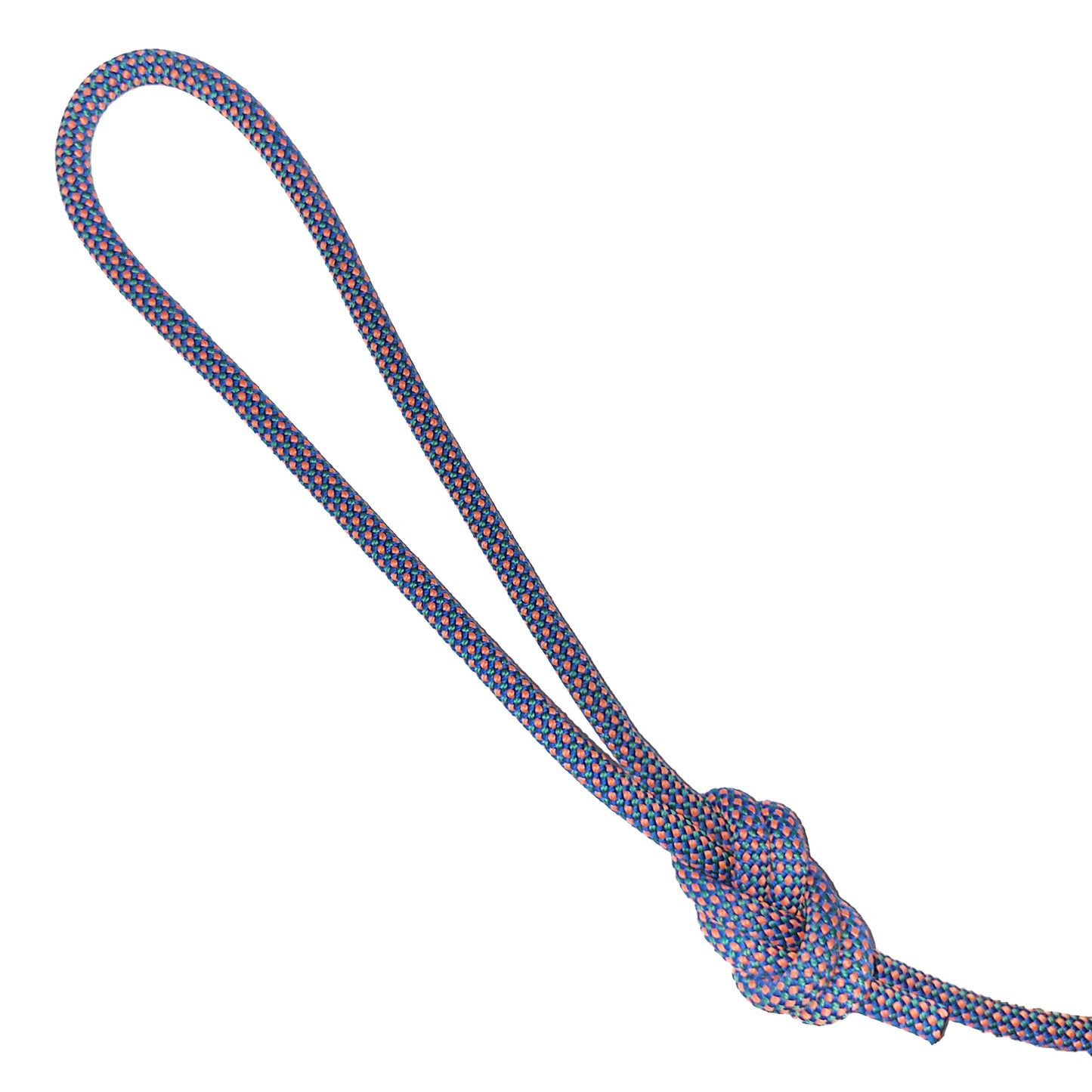 Climbing Rope Dog Leash