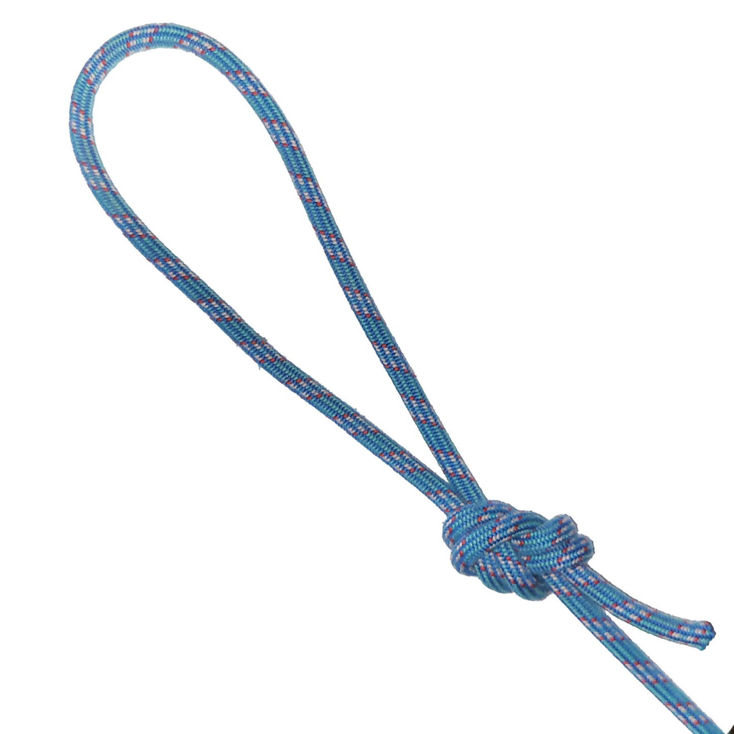 Climbing Rope Dog Leash