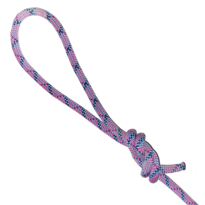 Climbing Rope Dog Leash